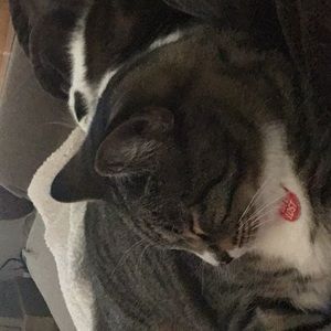 Meet your Posher, Linda